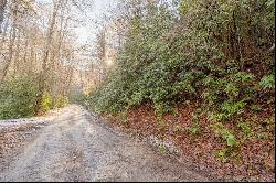 Lot 9 Wyrick Trl., Bland VA 24315