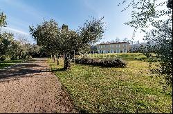 Charming villa with lake view and olive grove