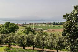 Charming villa with lake view and olive grove