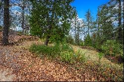 15055 Grand Knoll Dr - Lot 284, Meadow Vista, CA, 95722