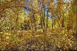 Beautiful Lot Adjacent to Open Space and The Bigwood River Beyond