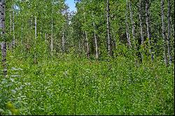 Beautiful Lot Adjacent to Open Space and The Bigwood River Beyond