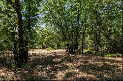 15045 Ponderosa Lane, Auburn, CA 95603