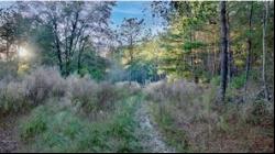 Lot 3 Button Bush Drive, Covington LA 70433