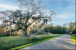 Lot 3 Button Bush Drive, Covington LA 70433