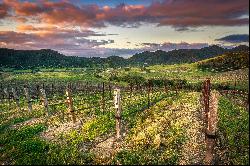 Gorgeous Coastal Vineyard Property with Limitless Potential