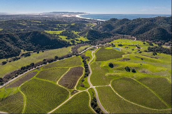 Gorgeous Coastal Vineyard Property with Limitless Potential