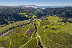 Gorgeous Coastal Vineyard Property with Limitless Potential