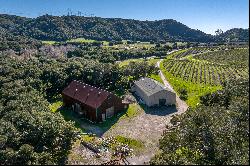 Gorgeous Coastal Vineyard Property with Limitless Potential