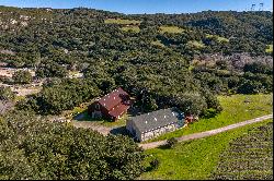 Gorgeous Coastal Vineyard Property with Limitless Potential