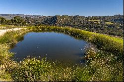 Gorgeous Coastal Vineyard Property with Limitless Potential