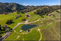 Gorgeous Coastal Vineyard Property with Limitless Potential