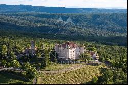 Aiguines - Remarkable Estate with Provençal Château