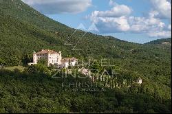 Aiguines - Remarkable Estate with Provençal Château