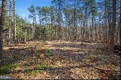 Lot 24 Timber Ridge, Cross Junction VA 22625