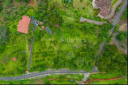 Amazing Lot in San Antonio de Escazu