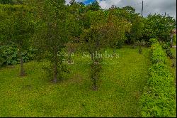 Amazing Lot in San Antonio de Escazu