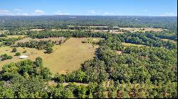 Lot 1 TBD Highway 110, Troup TX 75789