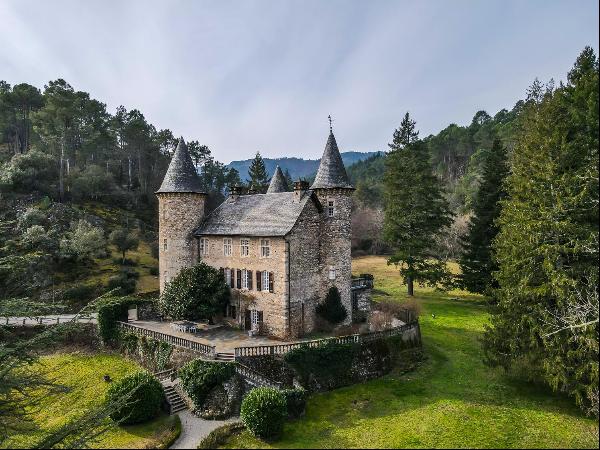 Sixteenth-century château in 2 hectares of parkland for sale in the Gard Cévennes.