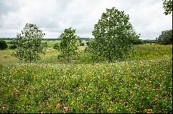 796+/- Acres Eatwell River Farm, Gonzales & DeWitt Counties, Gonzales, TX 78629