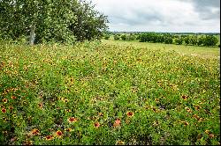 796+/- Acres Eatwell River Farm, Gonzales & DeWitt Counties, Gonzales, TX 78629