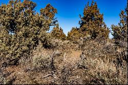 22879 Ghost Tree Lane #Lot #310 Bend, OR 97701