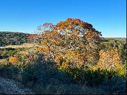 886.21+/- Acres Sueltenfuss Ranch, Kerr County, Comfort, TX 78013