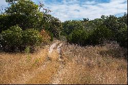 886.21+/- Acres Sueltenfuss Ranch, Kerr County, Comfort, TX 78013