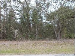 949 W Natonal Street, Hernando FL 34442