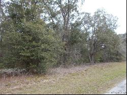 949 W Natonal Street, Hernando FL 34442