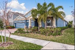 5362 Silver Sun Drive, Apollo Beach FL 33572