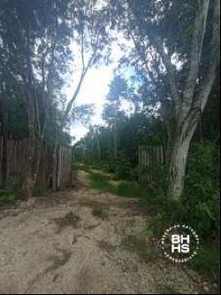 6035 - Land for Sale a few minutes from Tulum, Tulum 77760