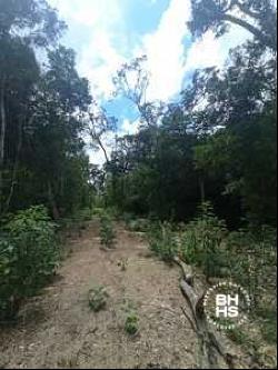 6035 - Land for Sale a few minutes from Tulum, Tulum 77760