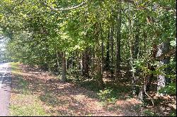 Rare Opportunity For A Large 3.818 Acre Lot