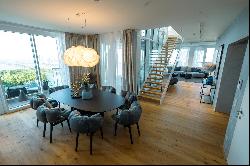 Astonishing modern duplex with balcony and fantastic view over Vienna