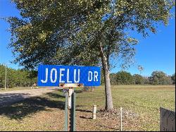 Lot 16 Joelu Drive, Franklinton LA 70438