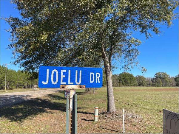 Lot 10 Joelu Drive, Franklinton LA 70438