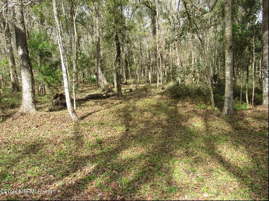 Green Cove Springs Land