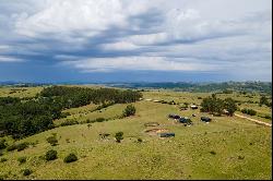 Brand new stud farm in Pueblo Eden.