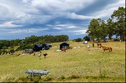 Brand new stud farm in Pueblo Eden.