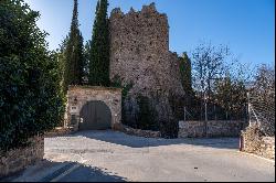 Jewel built into the walls of the Castell de Sant Llorenç de la Muga.