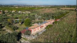 traversa san corrado, Siracusa, SIRACUSA