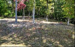 LOT51 Old Birch Bend Court