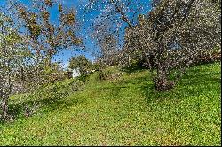 Gods Hill, Amador City, CA 95601