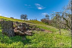 Gods Hill, Amador City, CA 95601