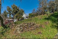 Gods Hill, Amador City, CA 95601