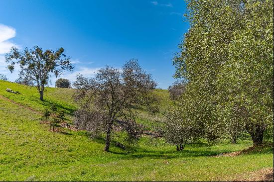 Gods Hill, Amador City, CA 95601