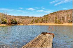 0 Little Eagle Mountain Road #LOT 6, Clarkesville GA 30523