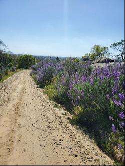 Spinecup Ridge, Raymond CA 93653