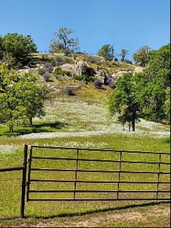 Spinecup Ridge, Raymond CA 93653